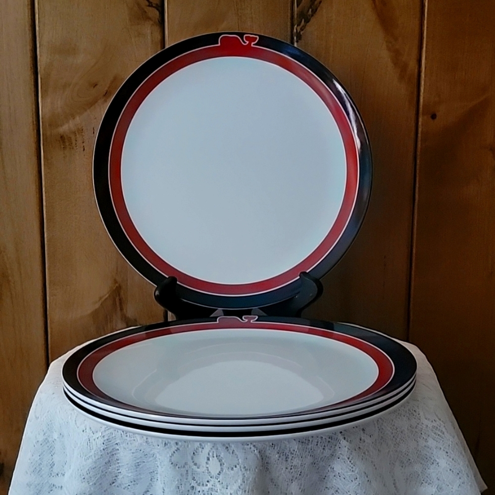 Set of 4 Vineyard Vines Melamine Dinner Plates